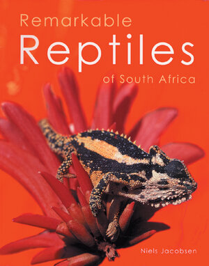 Buchcover Remarkable Reptiles of South Africa | Nils Jacobsen | EAN 9783804722118 | ISBN 3-8047-2211-3 | ISBN 978-3-8047-2211-8
