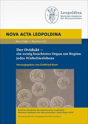 Buchcover Der Ovidukt – ein wenig beachtetes Organ am Beginn jedes Wirbeltierlebens  | EAN 9783804739918 | ISBN 3-8047-3991-1 | ISBN 978-3-8047-3991-8