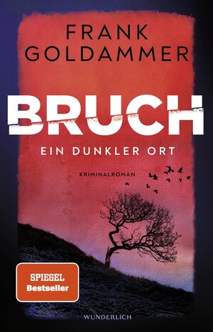 Buchcover Bruch: Ein dunkler Ort | Frank Goldammer | EAN 9783805200905 | ISBN 3-8052-0090-0 | ISBN 978-3-8052-0090-5