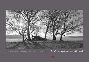 Buchcover Großsteingräber in der Altmark | Hartmut Bock | EAN 9783806220919 | ISBN 3-8062-2091-3 | ISBN 978-3-8062-2091-9