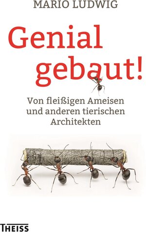 Buchcover Genial gebaut! | Mario Ludwig | EAN 9783806231977 | ISBN 3-8062-3197-4 | ISBN 978-3-8062-3197-7