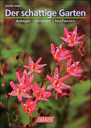 Buchcover Der schattige Garten | Joachim Mayer | EAN 9783806817775 | ISBN 3-8068-1777-4 | ISBN 978-3-8068-1777-5