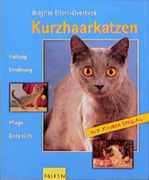 Kurzhaarkatzen