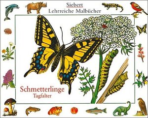 Buchcover Schmetterlinge - Tagfalter | Erwin Eigner | EAN 9783808935118 | ISBN 3-8089-3511-1 | ISBN 978-3-8089-3511-8