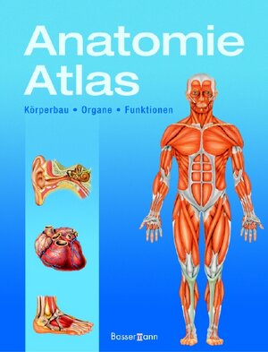 Anatomie-Atlas. Körperbau - Organe - Funktionen