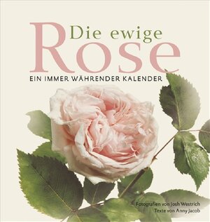 Buchcover Die ewige Rose | Anny Jacob | EAN 9783809423553 | ISBN 3-8094-2355-6 | ISBN 978-3-8094-2355-3