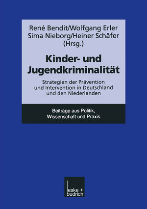 Kinder - Und Jugendkriminalität: Strategien Der Prävention Und Intervention In Deutschland Und Den Niederlanden