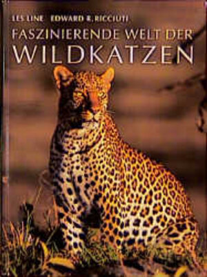 Faszinierende Welt der Wildkatzen