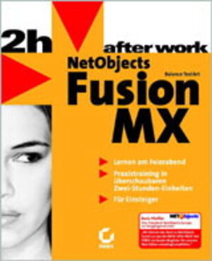 NetObjects Fusion MX. After Work