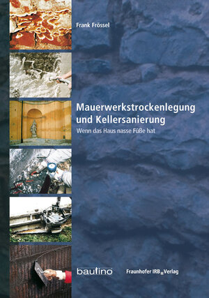 Buchcover Mauerwerkstrockenlegung und Kellersanierung | Frank Frössel | EAN 9783816771647 | ISBN 3-8167-7164-5 | ISBN 978-3-8167-7164-7