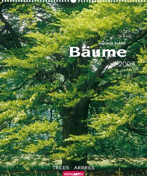 Bäume 2007.