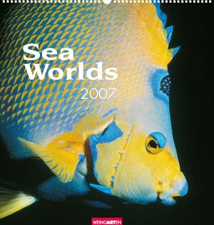 Sea Worlds 2007.