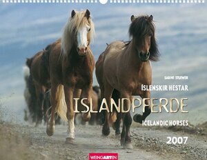 Islandpferde 2007