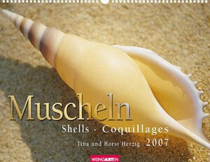 Muscheln 2007.