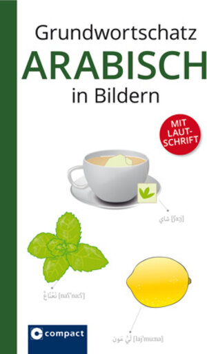 Buchcover Grundwortschatz Arabisch in Bildern | Amr Aboelsoud | EAN 9783817417612 | ISBN 3-8174-1761-6 | ISBN 978-3-8174-1761-2