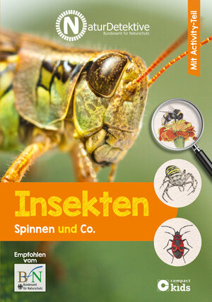 Buchcover Insekten, Spinnen und Co. | Feryal Kanbay | EAN 9783817419012 | ISBN 3-8174-1901-5 | ISBN 978-3-8174-1901-2