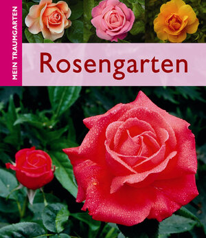 Buchcover Rosengarten | Wolfgang Seitz | EAN 9783817466351 | ISBN 3-8174-6635-8 | ISBN 978-3-8174-6635-1