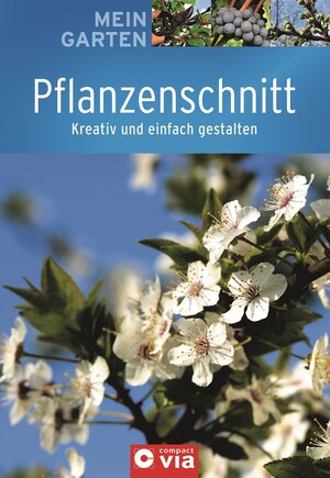 Buchcover Pflanzenschnitt | Peter Himmelhuber | EAN 9783817484171 | ISBN 3-8174-8417-8 | ISBN 978-3-8174-8417-1