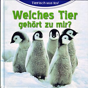 Buchcover Welches Tier gehört zu mir ? | Christa Pöppelmann, Felicitas Szameit ( Texte ) | EAN 9783817497225 | ISBN 3-8174-9722-9 | ISBN 978-3-8174-9722-5