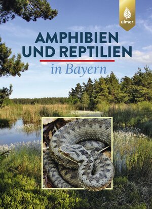 Buchcover Amphibien und Reptilien in Bayern | Eberhard Andrä | EAN 9783818603793 | ISBN 3-8186-0379-0 | ISBN 978-3-8186-0379-3