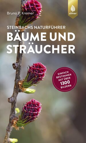 Buchcover Steinbachs Naturführer Bäume und Sträucher | Bruno P. Kremer | EAN 9783818607258 | ISBN 3-8186-0725-7 | ISBN 978-3-8186-0725-8