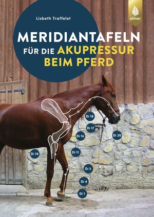 Buchcover ISBN 9783818608514