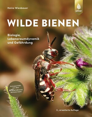 Buchcover Wilde Bienen | Heinz Wiesbauer | EAN 9783818611552 | ISBN 3-8186-1155-6 | ISBN 978-3-8186-1155-2