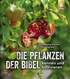 Buchcover Die Pflanzen der Bibel | Wolfgang Kawollek | EAN 9783818612993 | ISBN 3-8186-1299-4 | ISBN 978-3-8186-1299-3