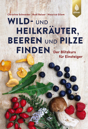 Buchcover Wild- und Heilkräuter, Beeren und Pilze finden | Christine Schneider | EAN 9783818616656 | ISBN 3-8186-1665-5 | ISBN 978-3-8186-1665-6