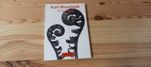 PostcardBook, Bd.19, Karl Blossfeldt (PostcardBooks)