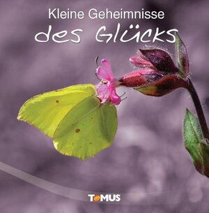 Buchcover Kleine Geheimnisse des Glücks  | EAN 9783823117315 | ISBN 3-8231-1731-9 | ISBN 978-3-8231-1731-5