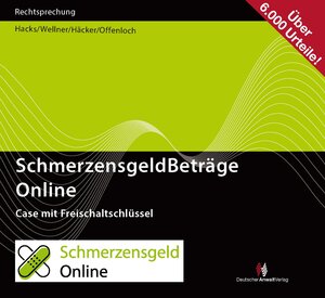 Buchcover SchmerzensgeldBeträge Online  | EAN 9783824017133 | ISBN 3-8240-1713-X | ISBN 978-3-8240-1713-3