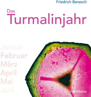 Buchcover Das Turmalinjahr | Friedrich Benesch | EAN 9783825176075 | ISBN 3-8251-7607-X | ISBN 978-3-8251-7607-5