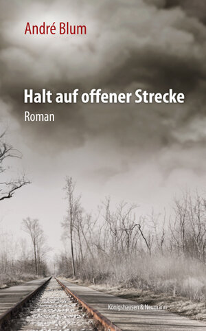 Buchcover Halt auf offener Strecke | André Blum | EAN 9783826060724 | ISBN 3-8260-6072-5 | ISBN 978-3-8260-6072-4
