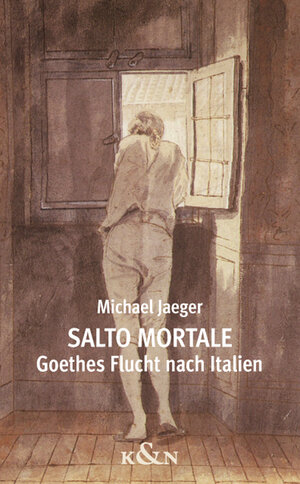 Buchcover Salto mortale | Michael Jaeger | EAN 9783826082955 | ISBN 3-8260-8295-8 | ISBN 978-3-8260-8295-5