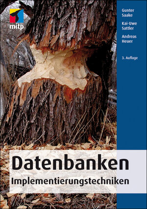 Buchcover Datenbanken | Gunter Saake | EAN 9783826691560 | ISBN 3-8266-9156-3 | ISBN 978-3-8266-9156-0