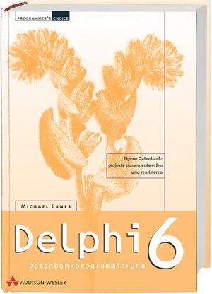 Delphi 6 Datenbankprogrammierung . (Programmer's Choice)