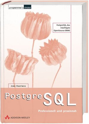 PostgreSQL - professionell und praxisnah .: PostrgreSQL, das mächtigste OpenSource-DBMS. Für Fortgeschrittene und Profis (Programmer's Choice)