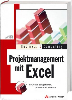 Projektmanagement mit Excel: Projekte budgetieren, planen und steuern (Business & Computing)