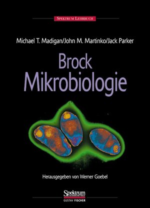 Buchcover BROCK - Mikrobiologie | Michael T. Madigan | EAN 9783827405661 | ISBN 3-8274-0566-1 | ISBN 978-3-8274-0566-1