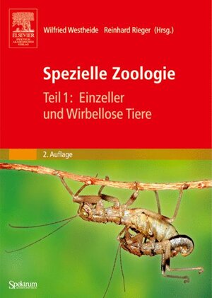 Buchcover Spezielle Zoologie. Teil 1: Einzeller und Wirbellose Tiere | EAN 9783827415752 | ISBN 3-8274-1575-6 | ISBN 978-3-8274-1575-2