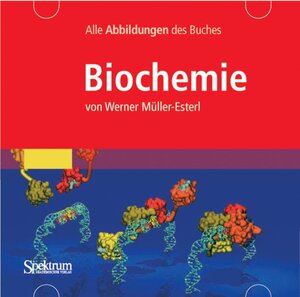 Biochemie / CD-ROM.