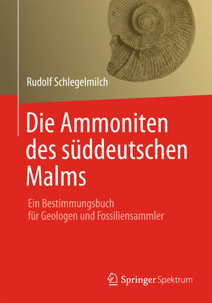 Buchcover Die Ammoniten des süddeutschen Malms | Rudolf Schlegelmilch | EAN 9783827431028 | ISBN 3-8274-3102-6 | ISBN 978-3-8274-3102-8