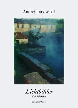 Lichtbilder: Die Polaroids