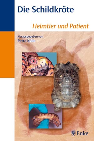 Buchcover Die Schildkröte | Petra Kölle | EAN 9783830411086 | ISBN 3-8304-1108-1 | ISBN 978-3-8304-1108-6
