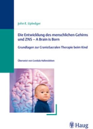 Die Entwicklung des menschlichen Gehirns und ZNS - A Brain is Born: Grundlagen zur CranioSakralen Therapie beim Kind