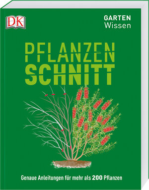 Buchcover Gartenwissen Pflanzenschnitt | Andrew Mikolajski | EAN 9783831037827 | ISBN 3-8310-3782-5 | ISBN 978-3-8310-3782-7