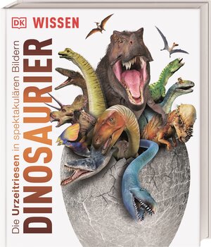 Buchcover DK Wissen. Dinosaurier | John Woodward | EAN 9783831040063 | ISBN 3-8310-4006-0 | ISBN 978-3-8310-4006-3