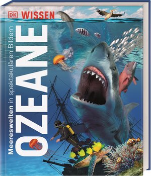 Buchcover DK Wissen. Ozeane | Derek Harvey | EAN 9783831041237 | ISBN 3-8310-4123-7 | ISBN 978-3-8310-4123-7