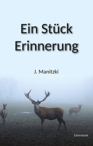Buchcover Ein Stück Erinnerung | Janett Manitzki | EAN 9783831624089 | ISBN 3-8316-2408-9 | ISBN 978-3-8316-2408-9